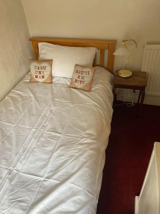 Lovely Peaceful 2 Bed Cottage Llandderfel Kültér fotó