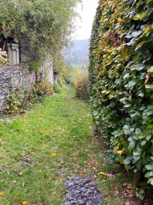 Lovely Peaceful 2 Bed Cottage Llandderfel Kültér fotó